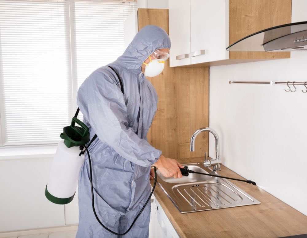 pest-services-1 pest-services-1