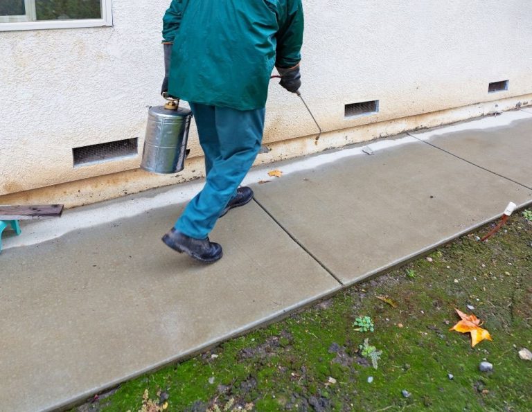 Our Pest Control Services homes, waterfront properties, commercial